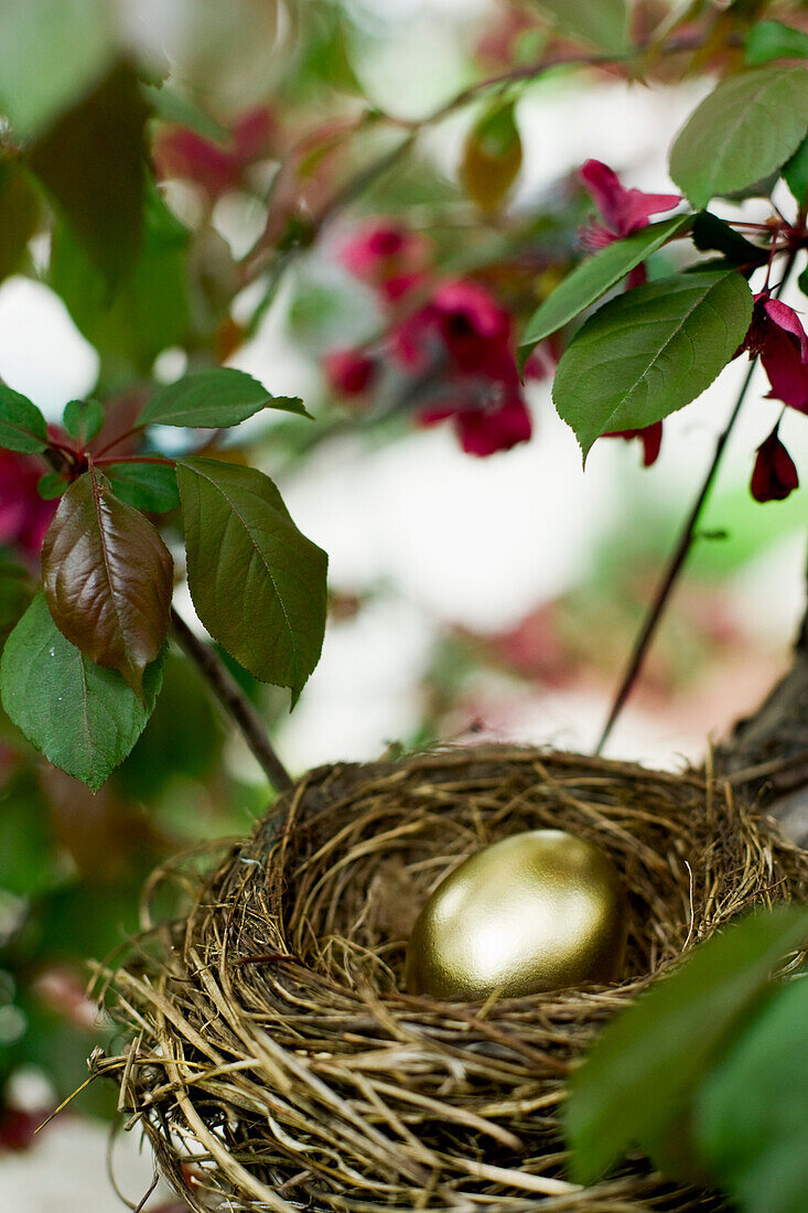 Golden Egg in Nest