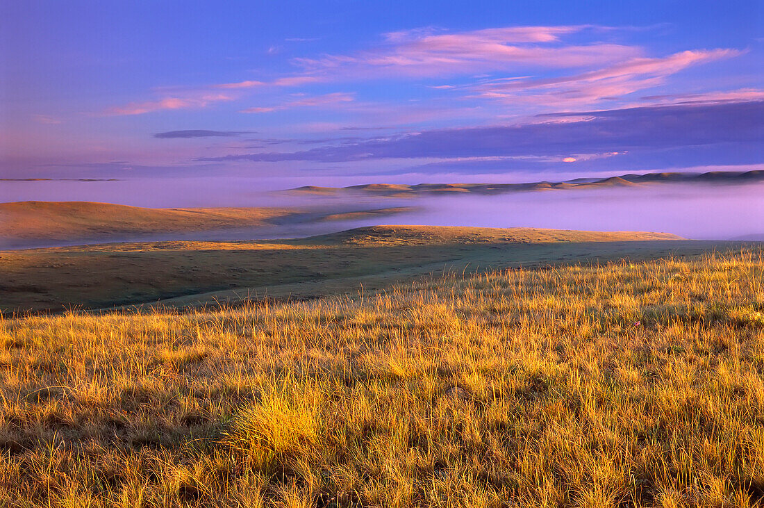 Grasland, Grasland-Nationalpark, Saskatchewan, Kanada