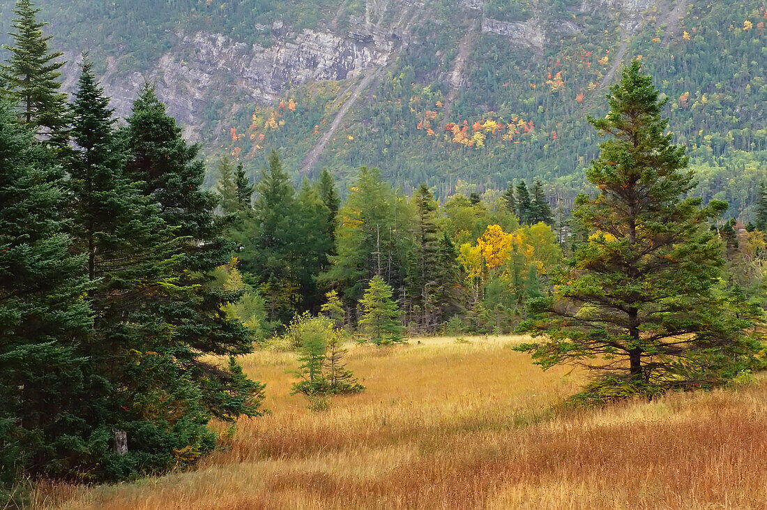 Lomond Valley, Gros Morne National Park, Neufundland, Kanada