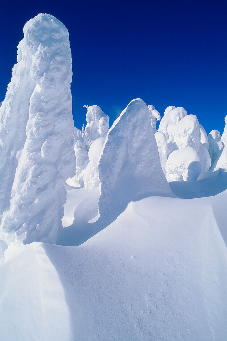 Schneegespenster,Sonnenspitzen,Britisch-Kolumbien,Kanada