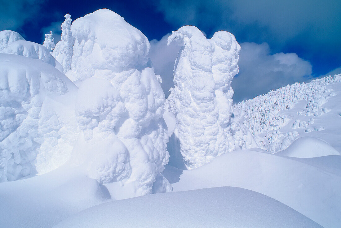 Schneegespenster,Sonnenspitzen,Britisch-Kolumbien,Kanada