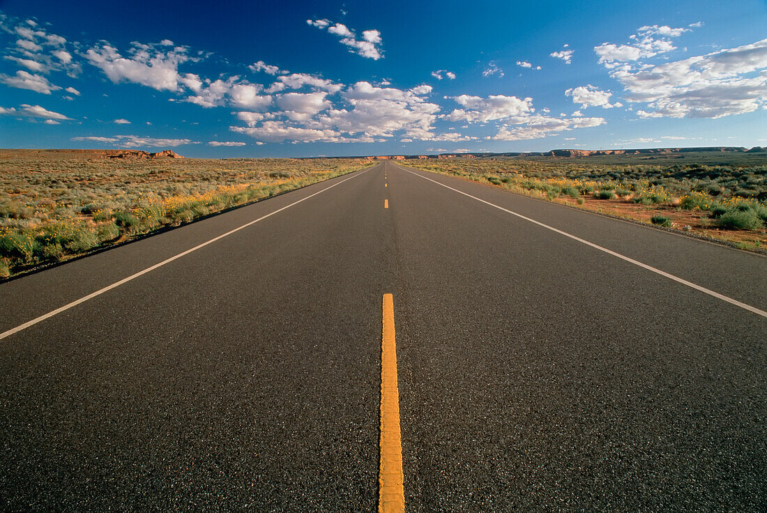 Highway Near Page,Arizona,USA