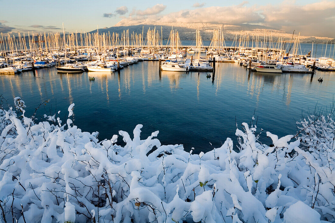 Boote, Jericho Beach Marina, Jericho Beach, Vancouver, British Columbia, Kanada