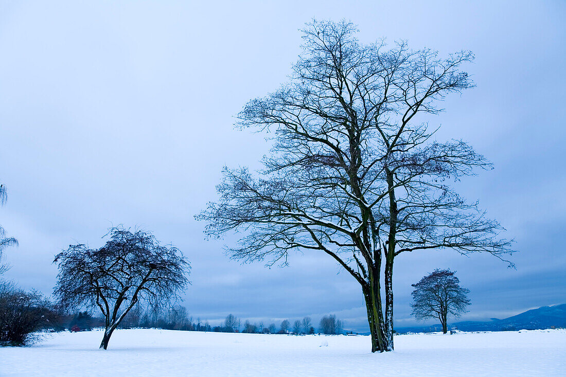 Jericho Beach Park,Vancouver,British Columbia,Canada