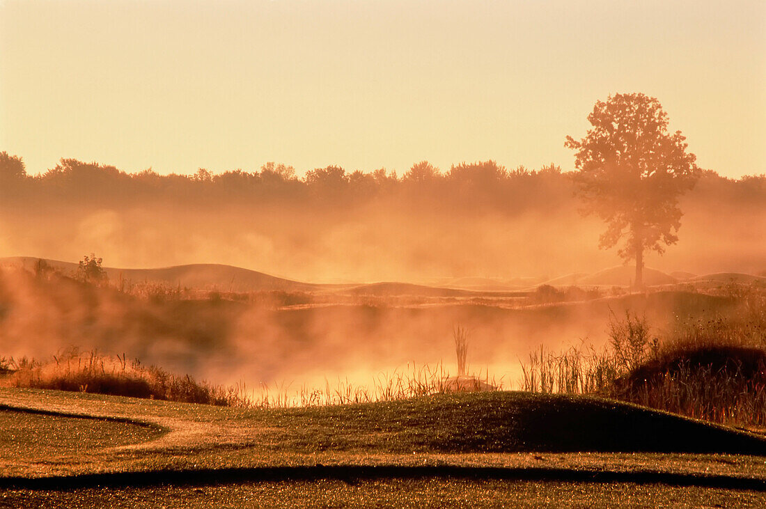 Morning Mist on Golf Course Ontario,Canada