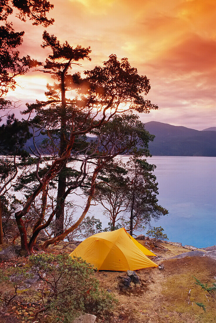 Campsite Curme Islands,Desolation Sound British Columbia,Canada