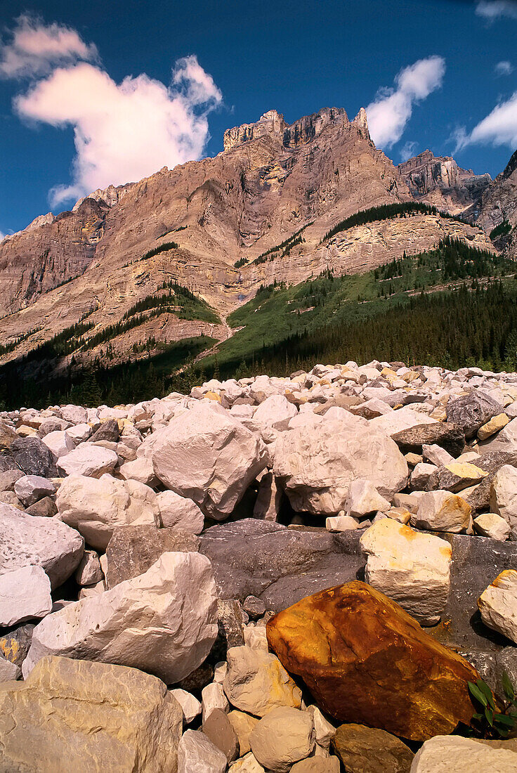 Mount Wilson Banff National Park Alberta,Canada
