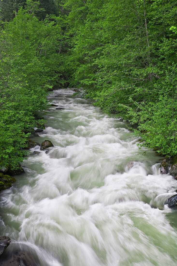 Culliton Creek, Küstengebirge, British Columbia, Kanada