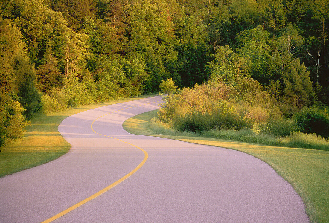 Winding Road and Trees Gatineau Parkway,Gatineau Park Quebec,Canada