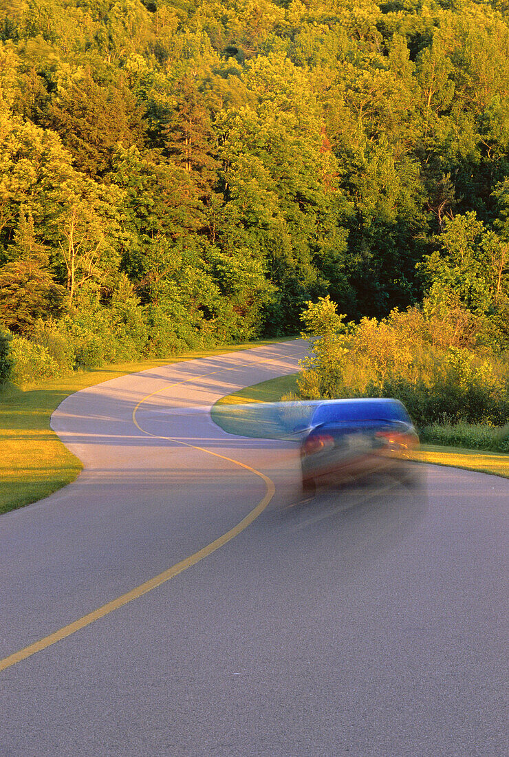Auto auf Straße, Gatineau Parkway, Gatineau Park, Quebec. Kanada