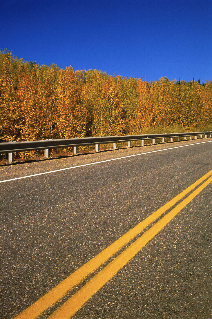 Straße und Bäume im Herbst