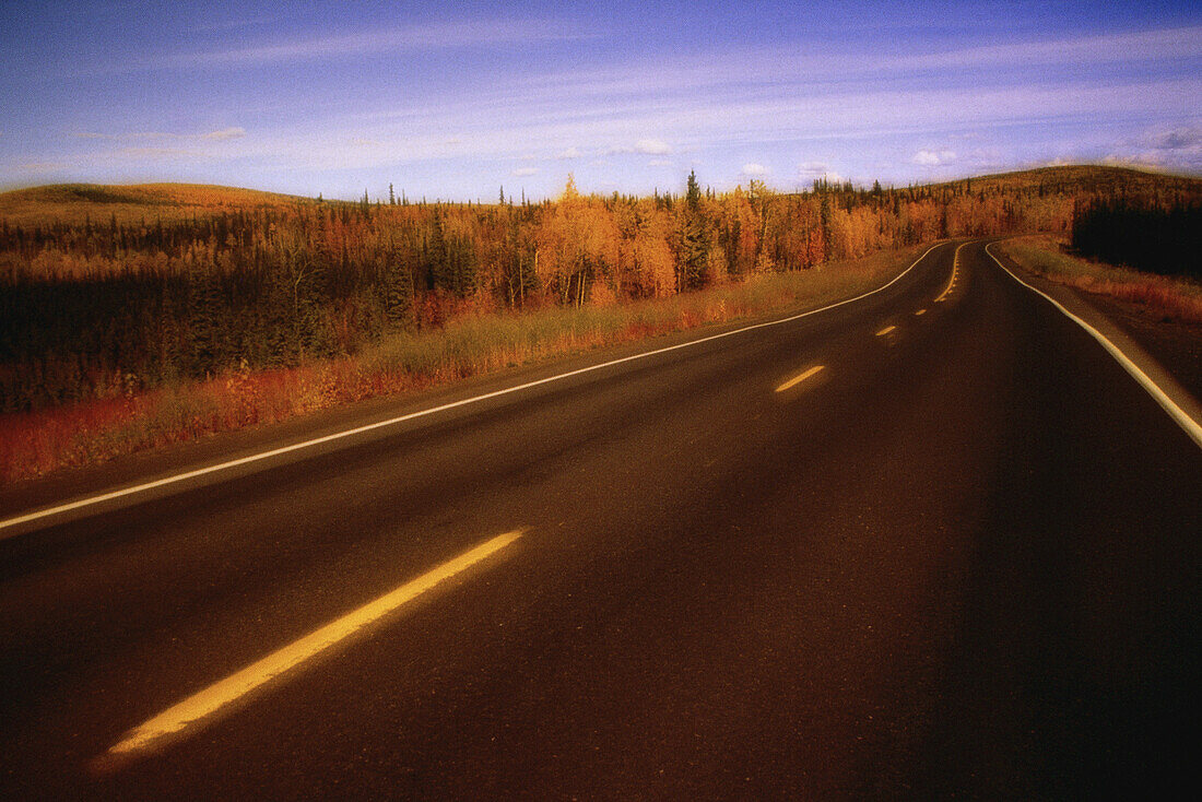 Road and Trees in Autumn,Yukon Territory,Canada