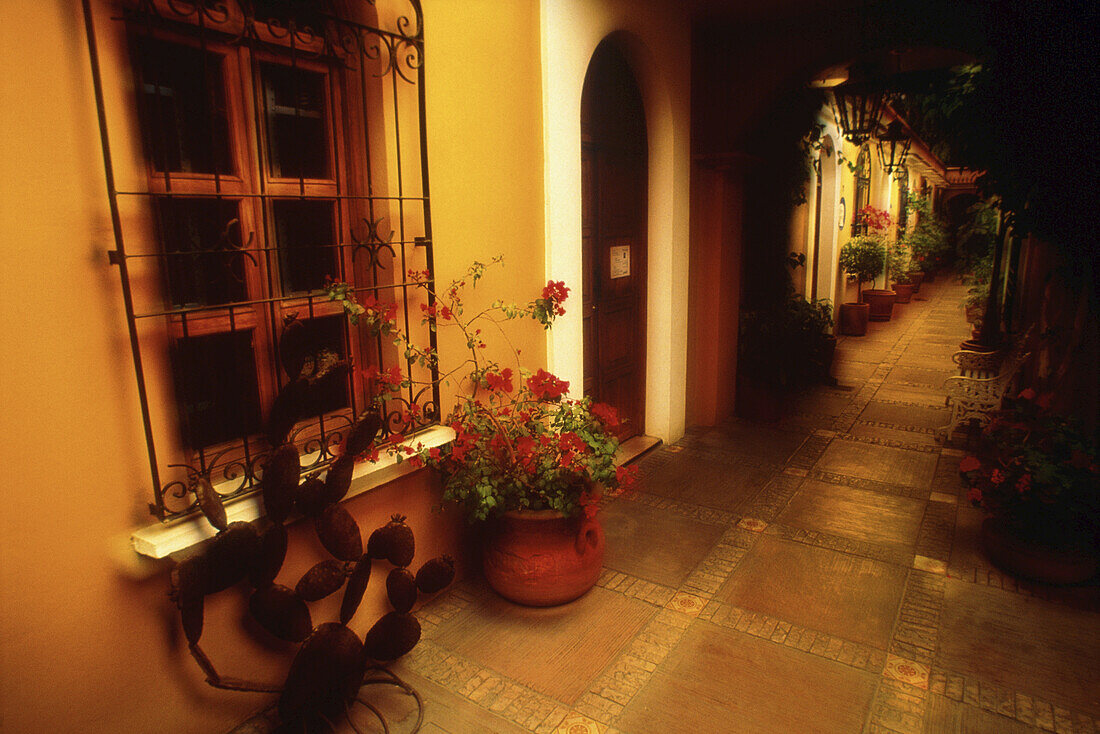 Blumen im Innenhof mit Fenstern und Flur, Oaxaca, Mexiko