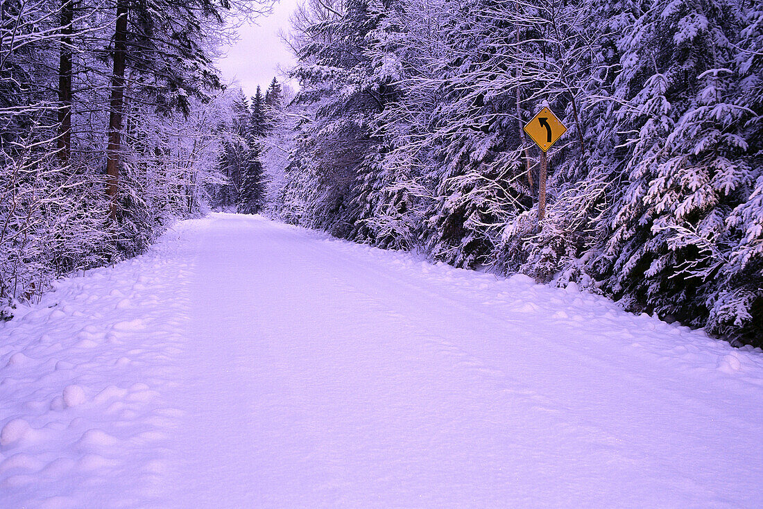 Road through Trees in Winter,Algonquin Provincial Park,Ontario,Canada