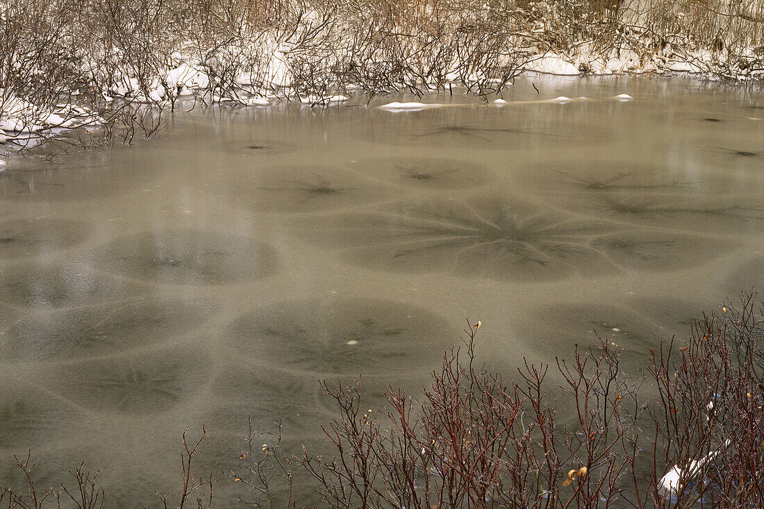 Nahaufnahme eines Teichs mit Eis im Winter, Algonquin Provincial Park, Ontario, Kanada