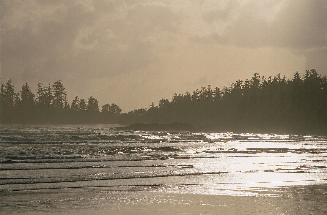 Langer Strand, Pacific Rim Nat. Park,Vancouver Island,B.C. Kanada