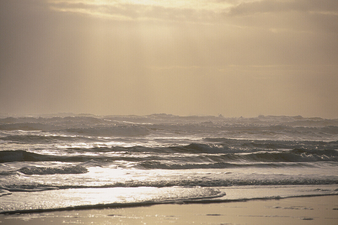 Langer Strand,Pacific Rim Nat. Park,Vancouver Island,B.C. Kanada