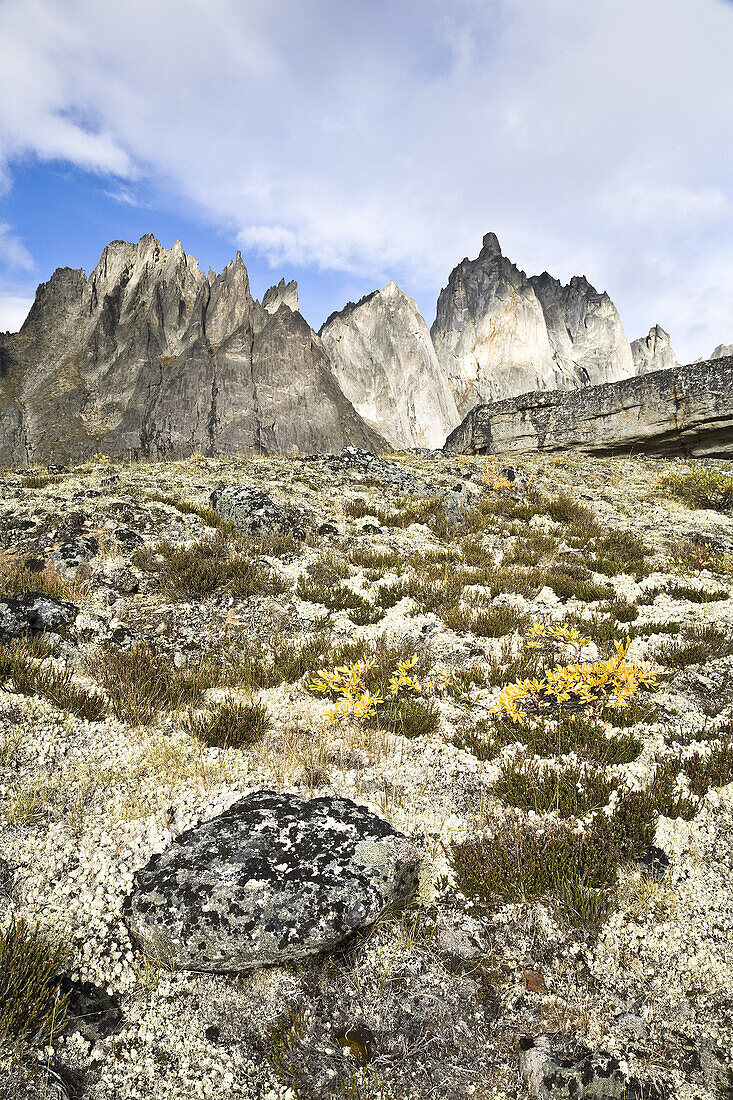 Berg Monolith,Tombstone-Territorialpark,Yukon,Kanada