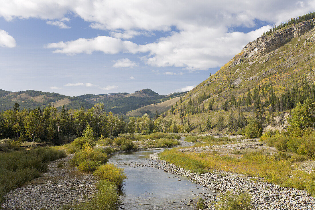 Bach durch die Berge,Livingston Range,Rocky Mountains,Alberta,Kanada