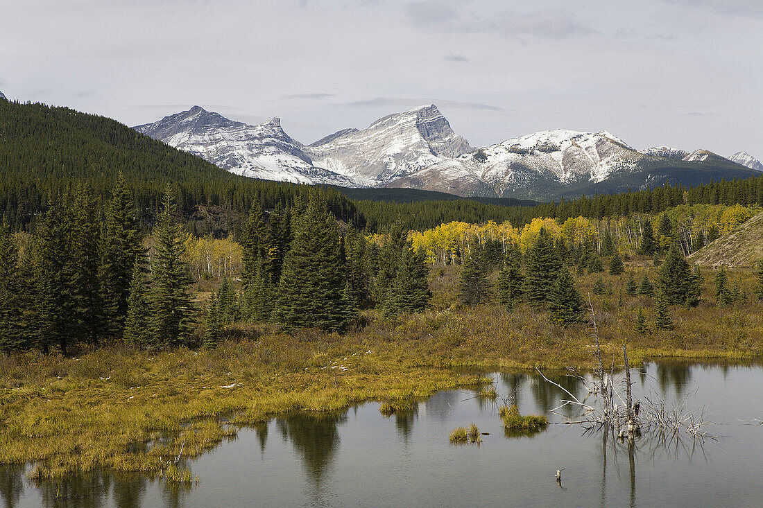 Überblick über den Beaver Pond und die Berge, Kananaskis Country, Alberta, Kanada