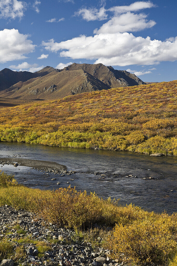 Blackstone-Fluss,Tombstone-Territorialpark,Yukon,Kanada