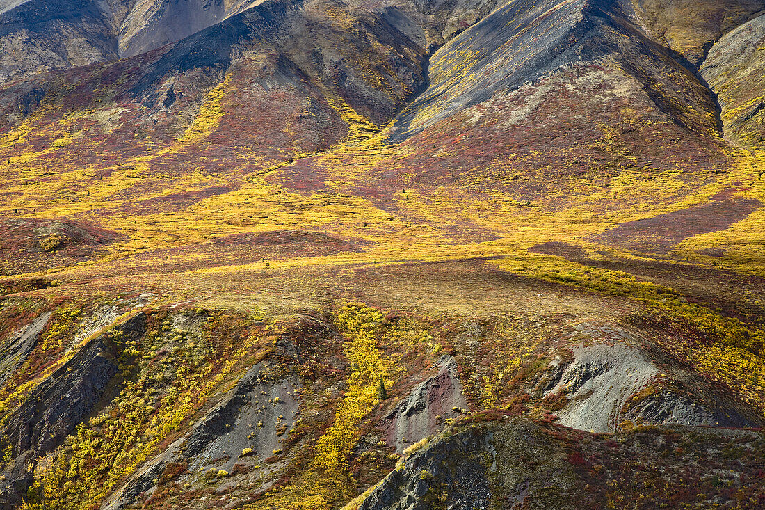 Alpine Tundra im Herbst, Tombstone Territorial Park, Yukon, Kanada