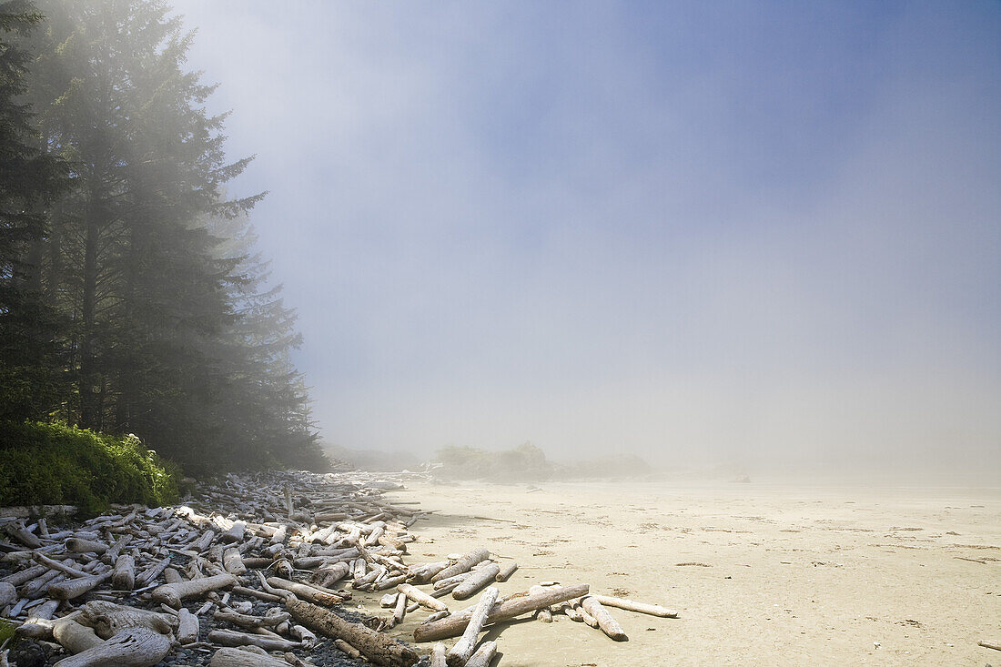 Driftwood on Beach,Long Beach,Pacific Rim National Park,Vancouver Island,British Columbia,Canada