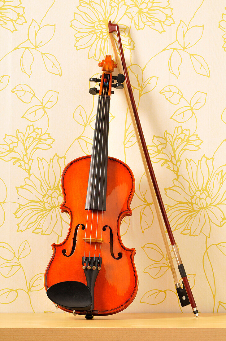 Still Life of Violin