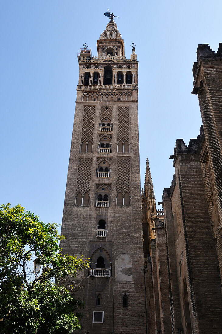 La Giralda,Sevilla,Spanien