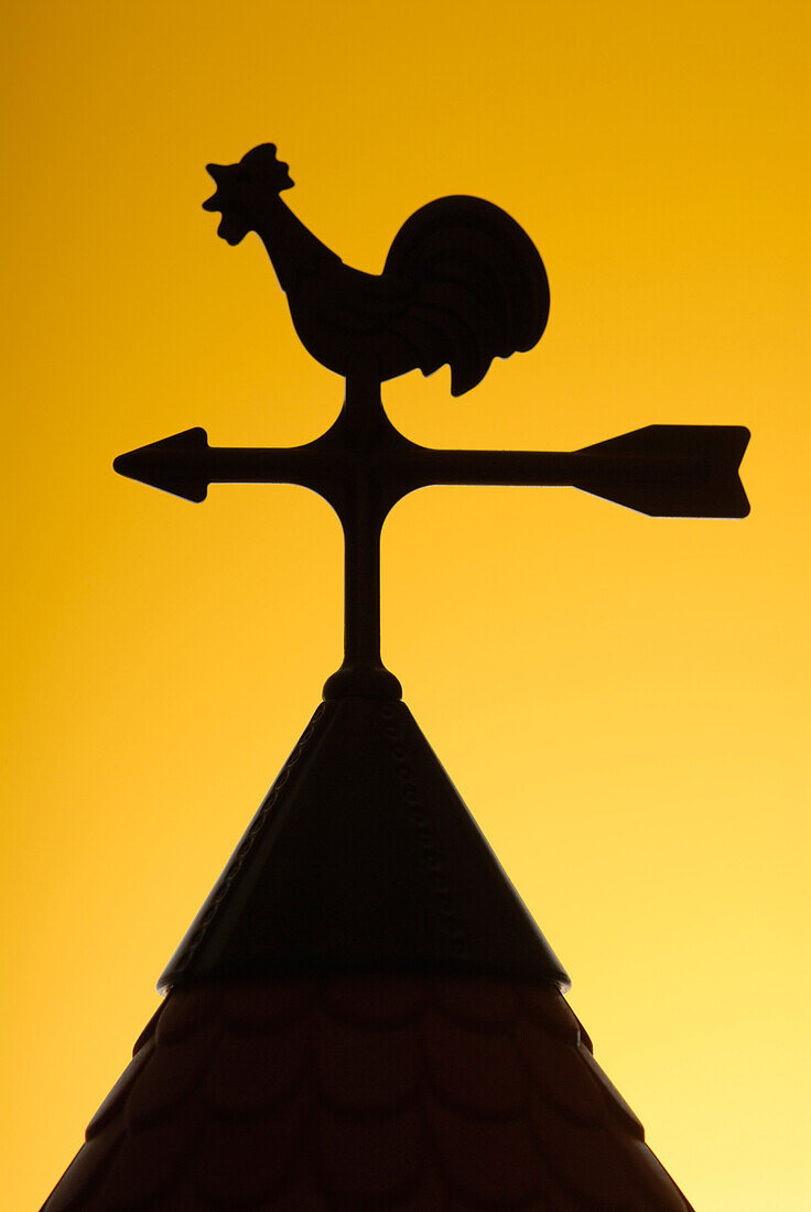 Silhouette of Weather Vane