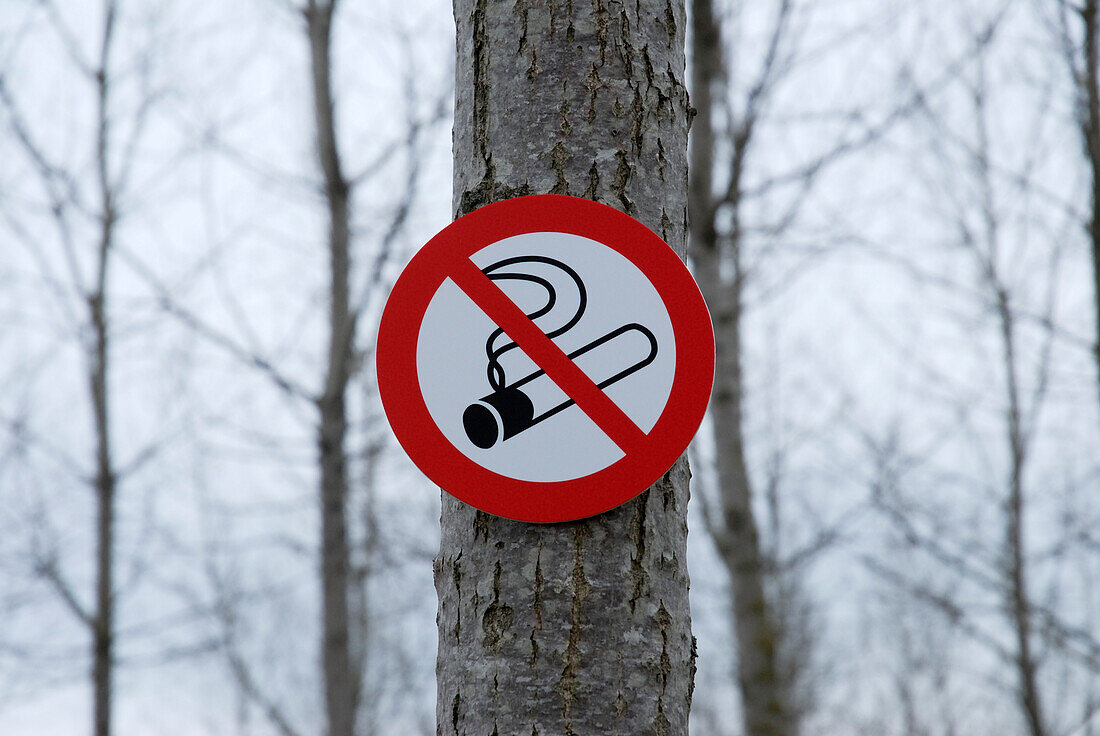 No Smoking Sign Attached to Tree Trunk