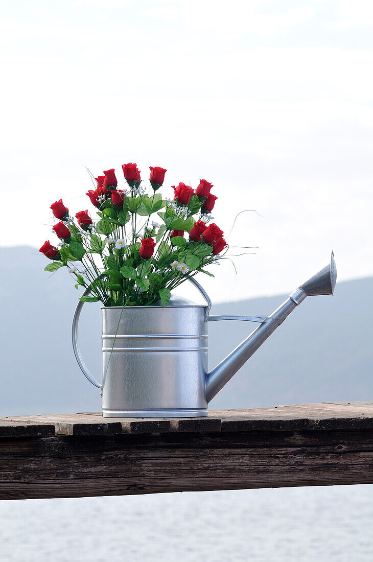 Roses in Metal Watering Can on Dock