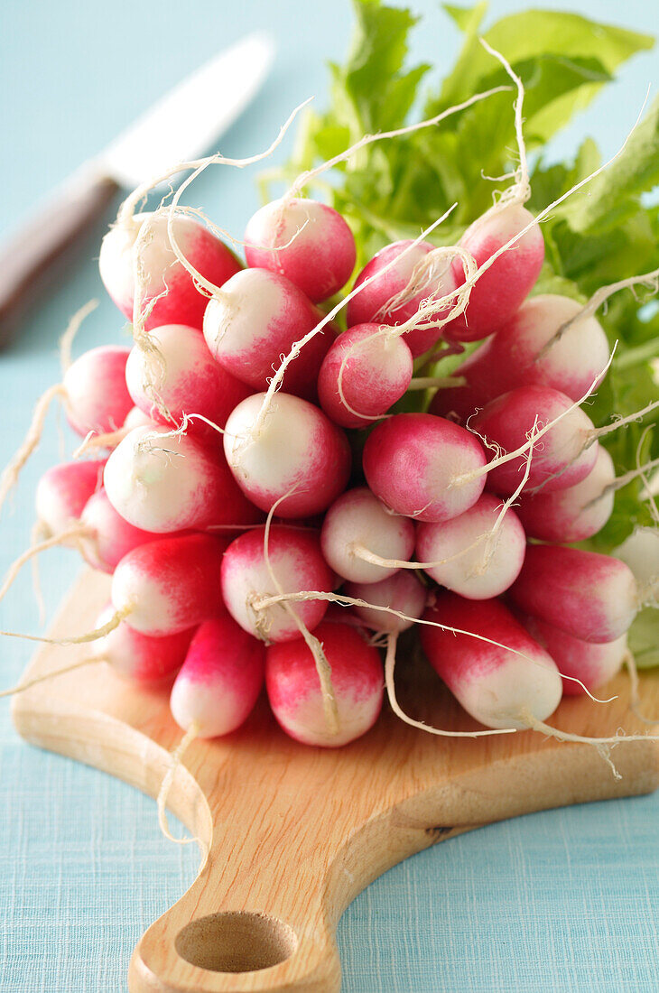 Close-up of Bunch of Radishes on Cutting Board