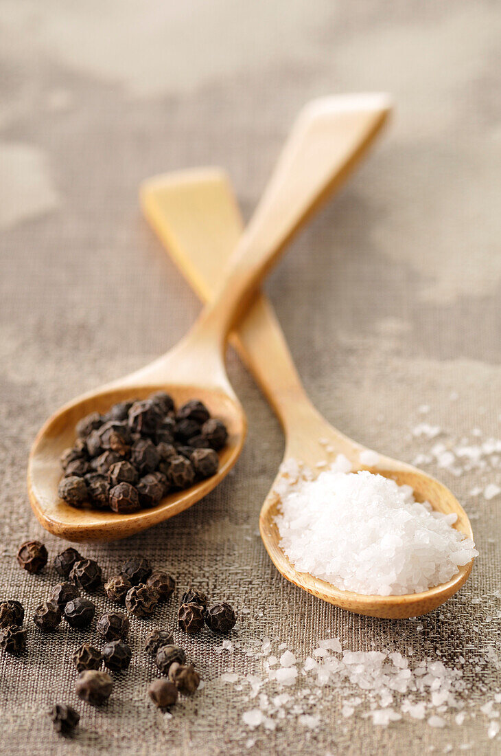 Rock Salt and Peppercorns in Wooden Spoons