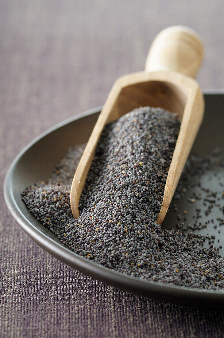 Close-up of Bowl of Poppy Seeds with Scoop