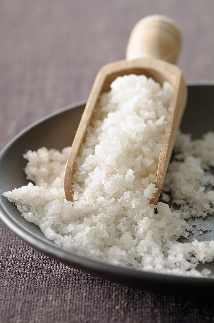 Close-up of Bowl of Coarse Salt with Scoop