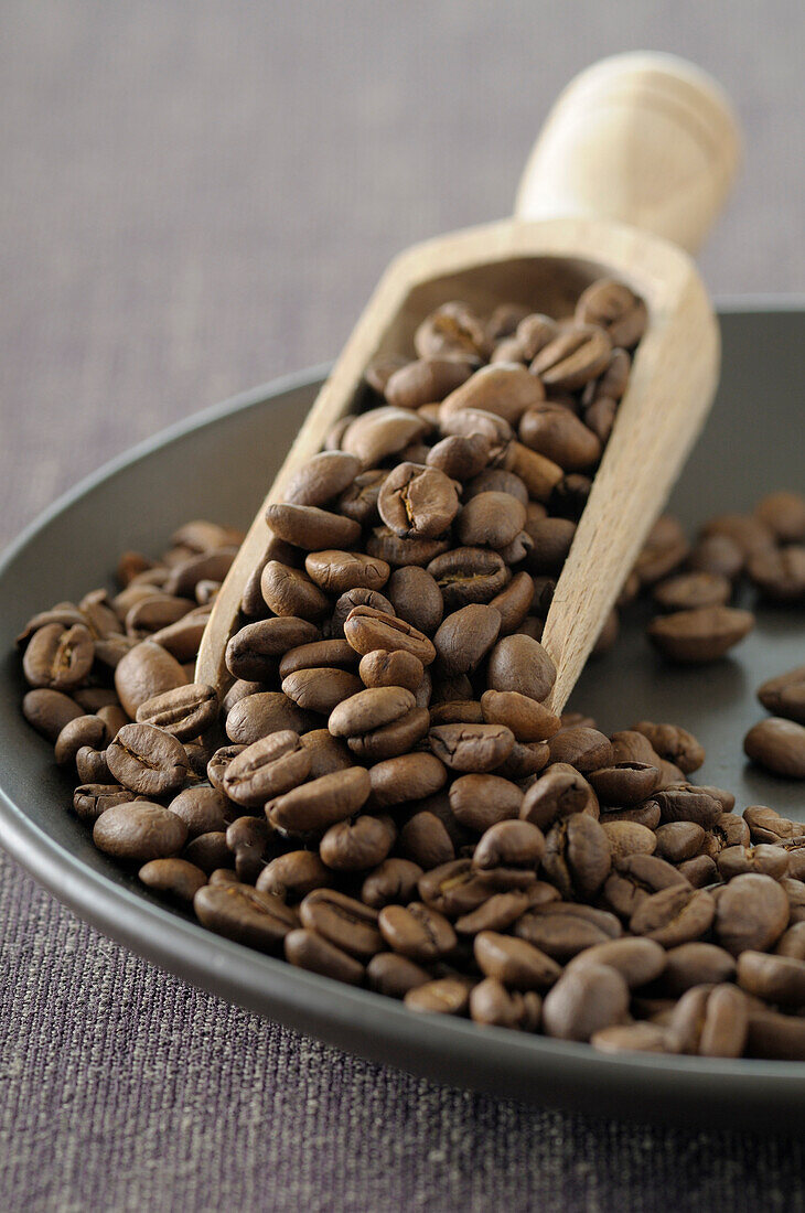 Nahaufnahme von Kaffeebohnen in Schale mit Schaufel, Stilleben