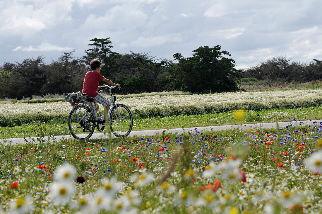 Fahrrad fahrender Junge,Ile de Re,Frankreich