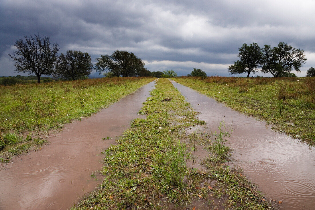 Flooded Country Road,Texas,USA