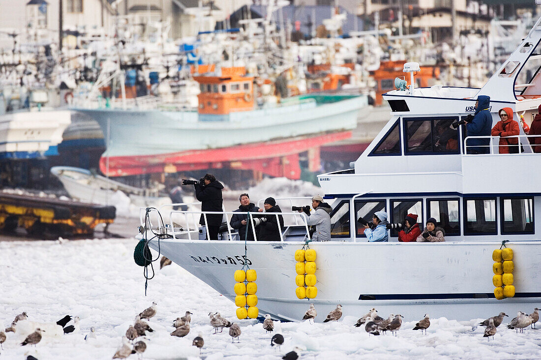Öko-Touristen beim Fotografieren von Vögeln, Fischereihafen Rausu, Hokkaido, Japan