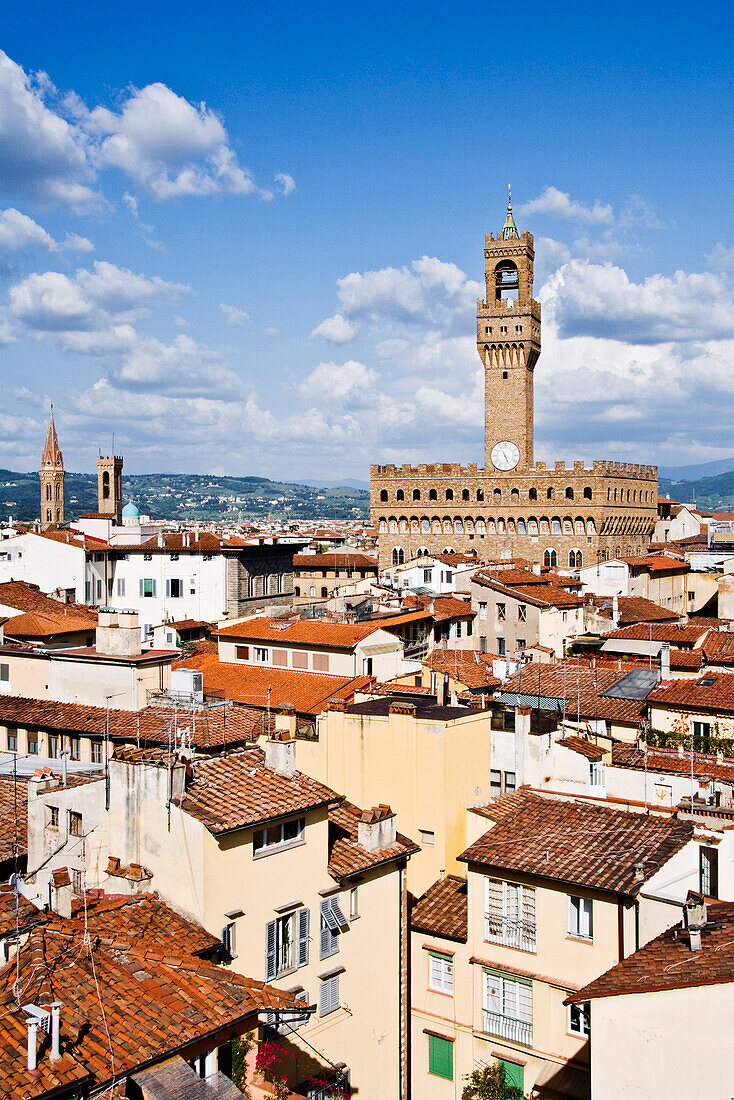 Palazzo Vecchio,Florence,Italy