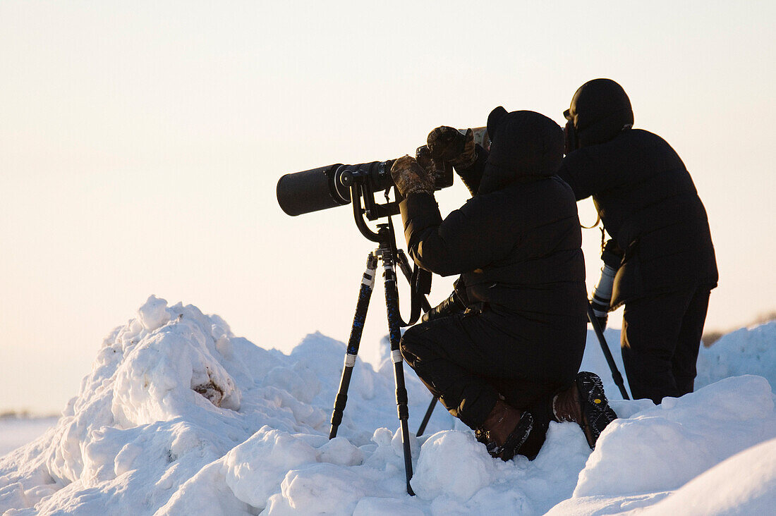 Wildlife Photographers,Hokkaido,Japan