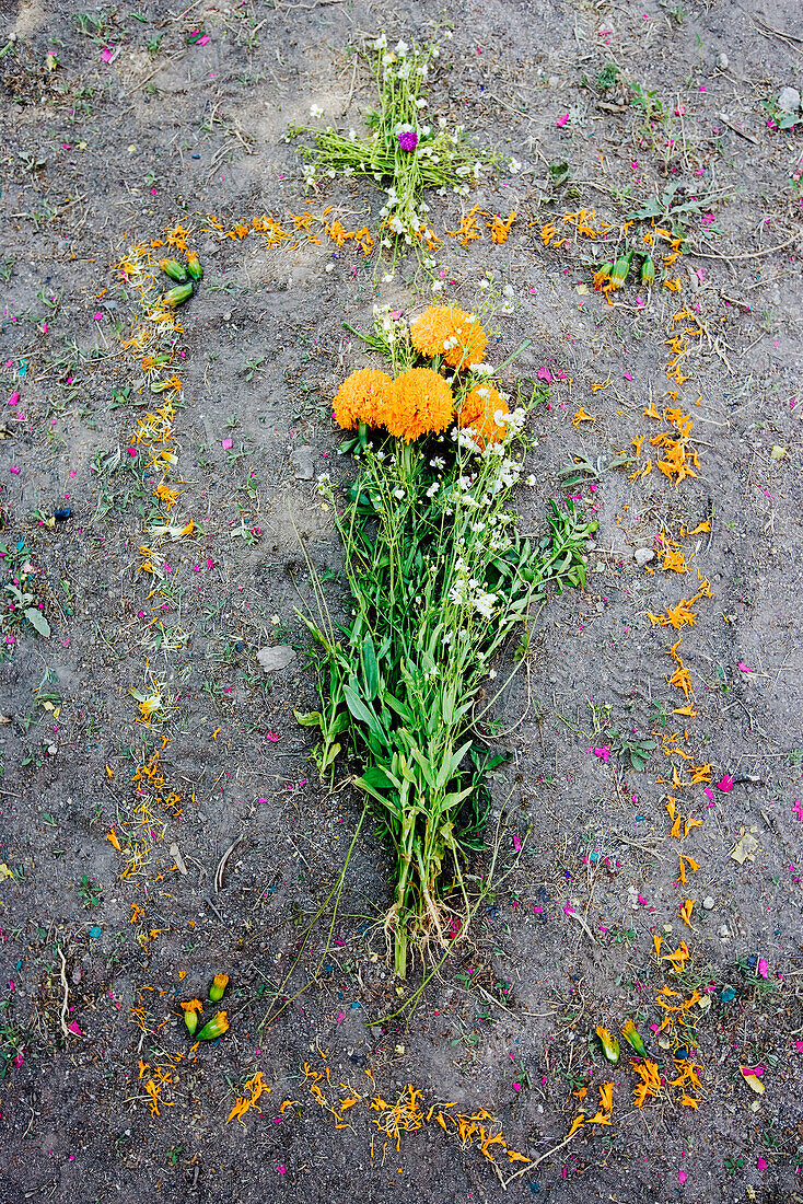 Blumen auf einer Grabstätte, San Miguel de Allende, Mexiko