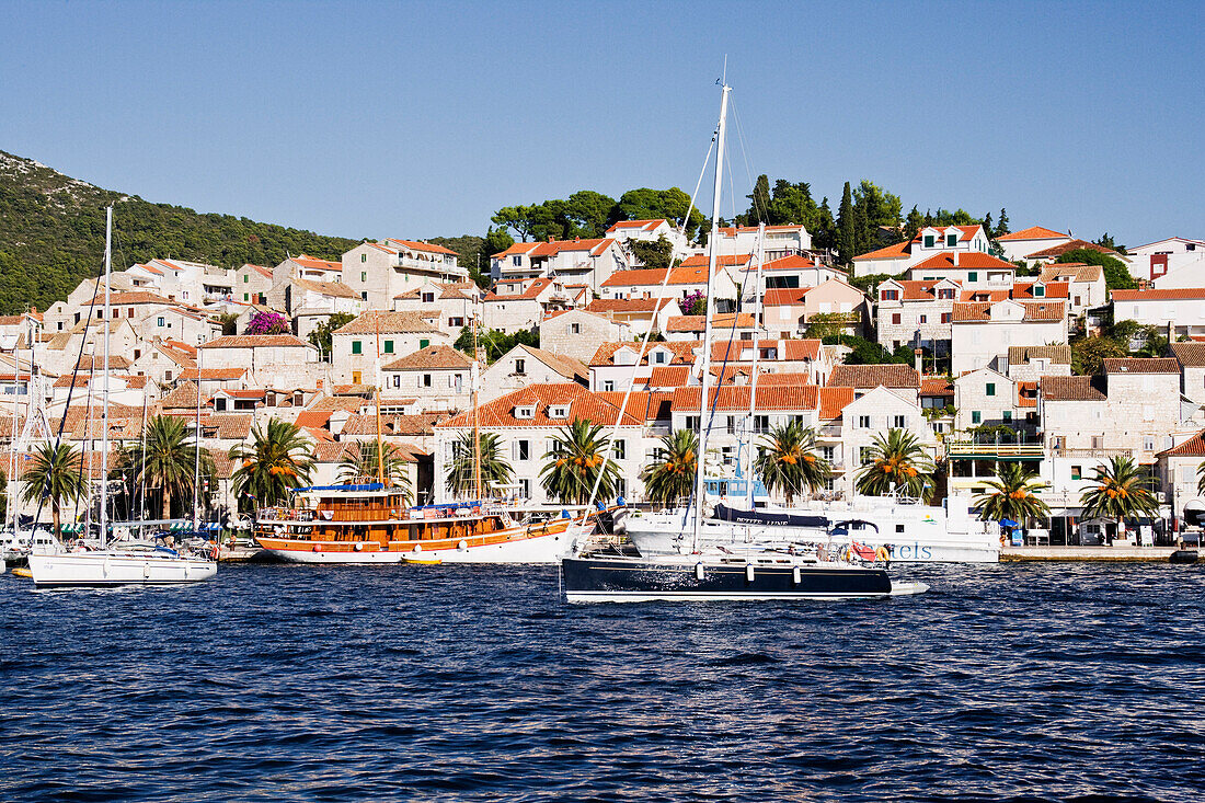 Boats in Harbour,Hvar Town,Hvar,Croatia