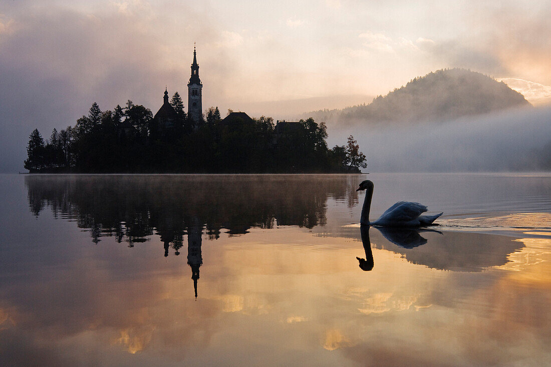 Kirche Mariä Himmelfahrt,Bled-See,Slowenien