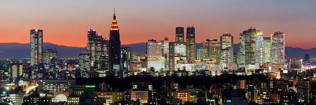 Skyline der Stadt, Shinjuku District, Tokio, Japan