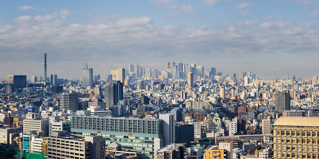 Stadtsilhouette,Bezirk Shinjuku,Tokio,Japan