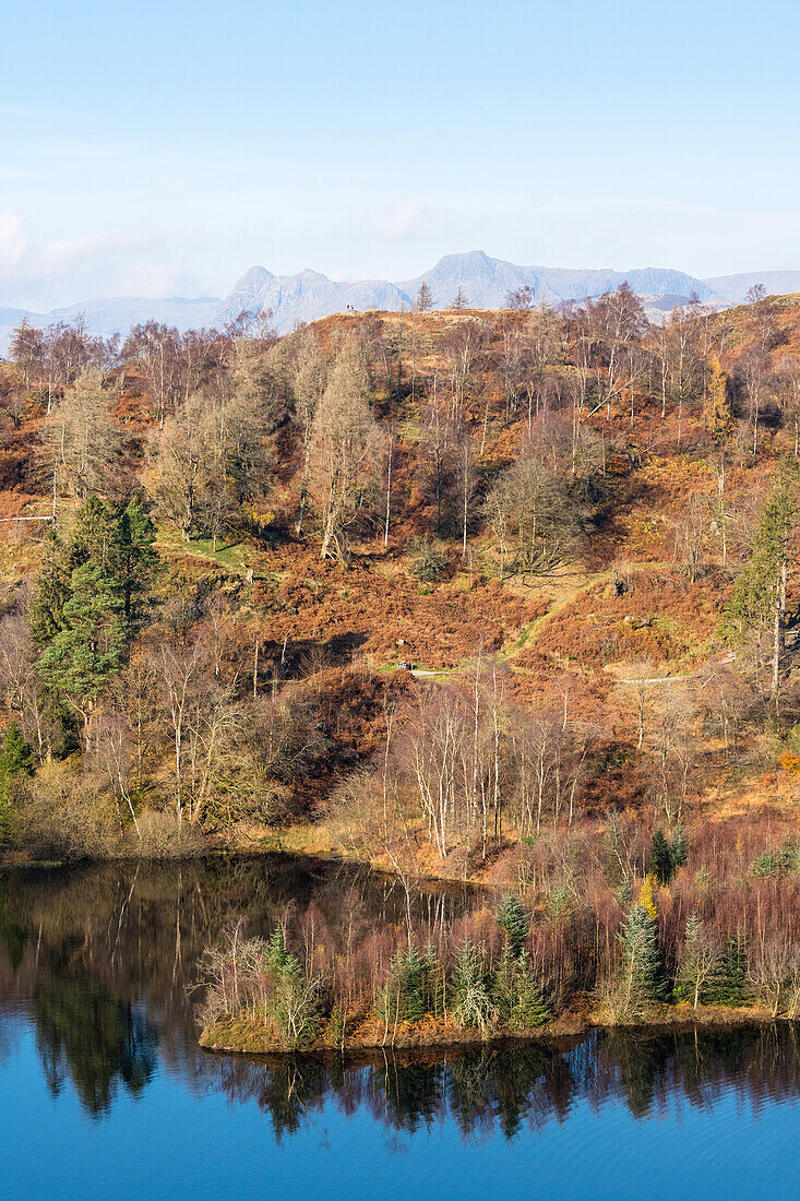 Fells around Tarn Hows,Lake District National Park,UNESCO World Heritage Site,Cumbria,England,United Kingdom,Europe