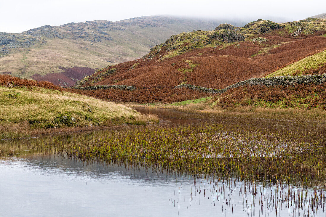 Alcock Tarn,near Grasmere,Lake District National Park,UNESCO World Heritage Site,Cumbria,England,United Kingdom,Europe