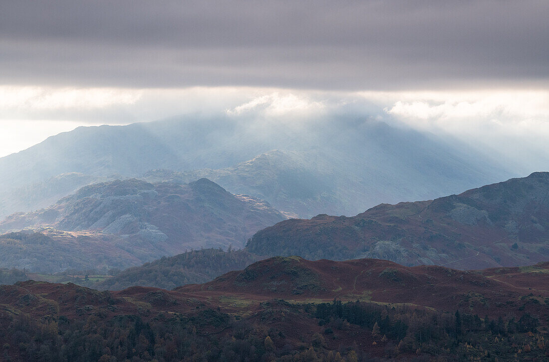 Blick über die Fjälls vom Grey Crag, in der Nähe von Grasmere, Lake District National Park, UNESCO-Weltkulturerbe, Cumbria, England, Vereinigtes Königreich, Europa